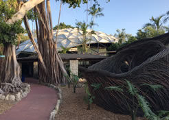 A path through banony trees to white-roofed amphitheater in backroung; twisted tree limbs forming a room to the right